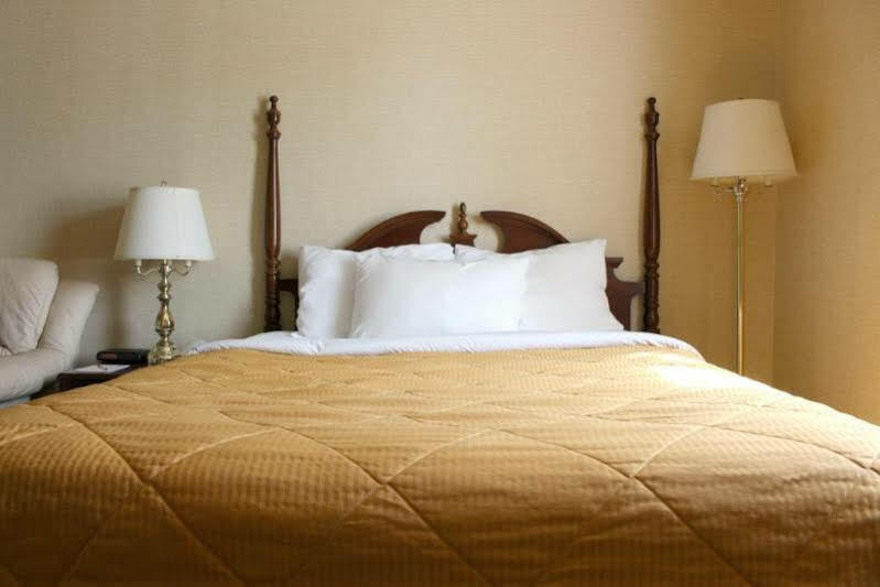 Econo Lodge City Centre Kingston Esterno foto