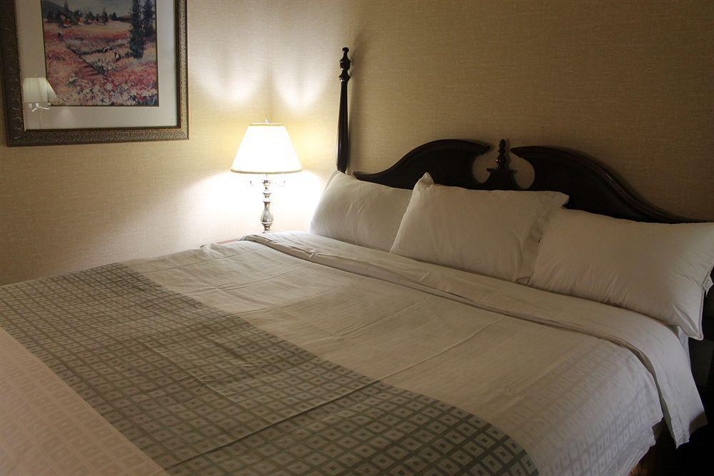 Econo Lodge City Centre Kingston Esterno foto